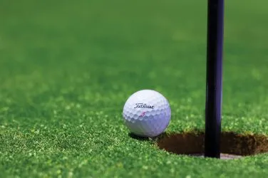 Golf Ball Near Cup