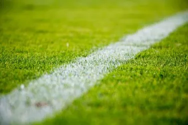 Soccer Pitch Line